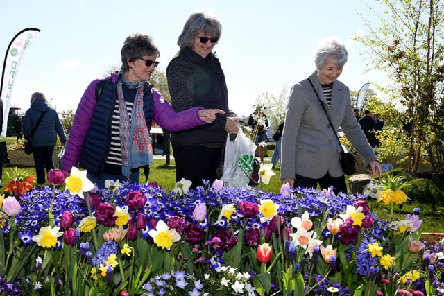 Visitors enjoying the beautiful flowers on display in the sunshine at the Great Yorkshire Showground