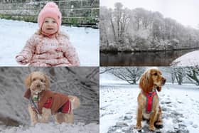 We take a look at 35 brilliant photos of the weekend's snow from across the district sent in by Harrogate Advertiser readers