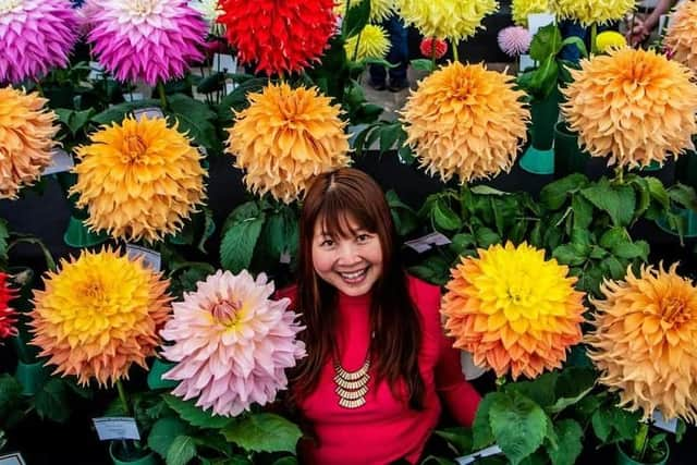 The Harrogate Autumn Flower Show arrives at Newby Hall and Gardens this weekend