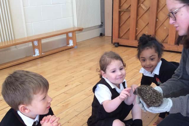 Youngsters at Harrogate's Ashville College enjoying a genuinely hands-on experience when Prickly Pigs brought along a two-year-old hedgehog called Rhubarb. (Picture contributed)