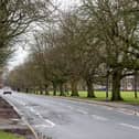 Harrogate District Cycle Action remains positive about the launch of public consultation on new crossings at Oatlands Drive (pictured) and Wetherby Road to benefit people walking and cycling on Slingsby Walk. (Picture Gerard Binks)
