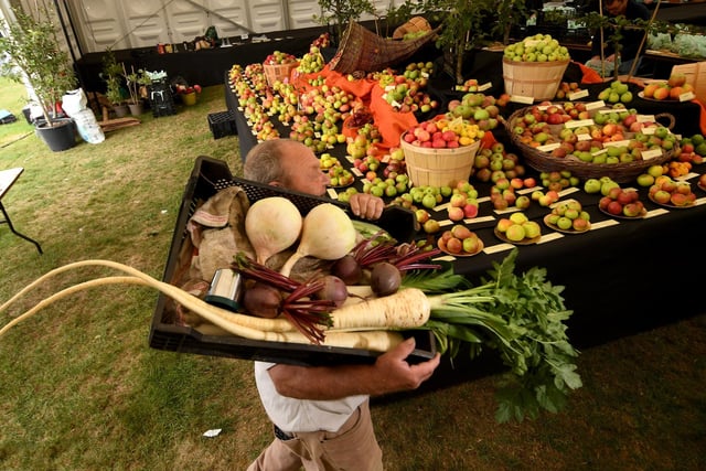 Phil Gomersall carries a basket of vegetables as preparations get underway for this year's Harrogate Autumn Flower Show