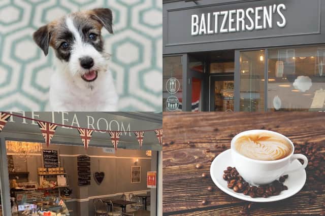 We reveal nine of the best dog friendly cafes to visit in Harrogate