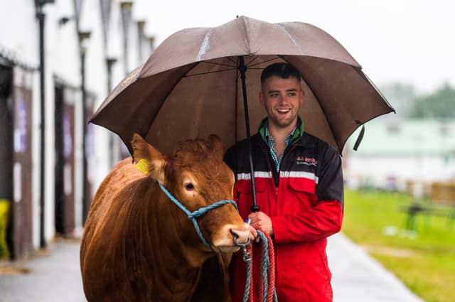 Tom Kitching, sheltering from the rain while holding a pedigree Limousin from Mountainstorm Limousins at Halifax owned by A J Atkins at Masons Green Farm