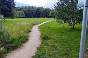 Site for tree planting - new path at Crimple Meadow