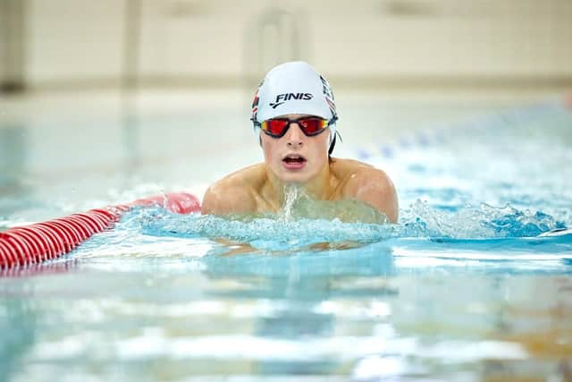 Action shot of Archie swimming
