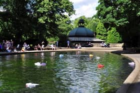 There has been a small chorus of complaints against plans for a new fountain in Valley Gardens in Harrogate.