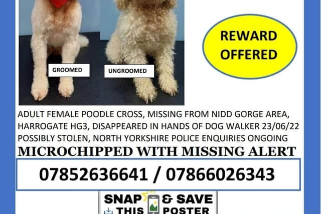 Police have upgraded the search for missing Harrogate dog Molly to ‘stolen’ as an investigation gets underway