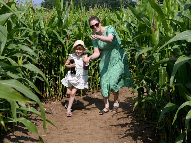 The Great Ryedale Maze, Friday, July 15 to Sunday, September 4. Returning to North Yorkshire for its third year this summer, The Great Ryedale Maze offers a field full of fun for all ages. Located in Sherburn, midway between Scarborough and Malton at the foot of the Yorkshire Wolds, the popular attraction will open for summer holidays. It promises a great day out in the heart of the countryside for adults, teenagers and children, offering two mazes, vintage funfair, football darts and Big Top with live entertainment for families. There will also be a range of hot and cold food and drinks to cater for all tastes, served from fully-licensed Cabin Café.