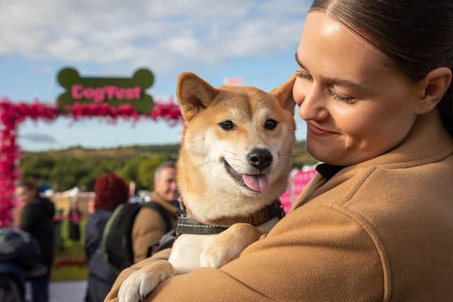 Bring your pup, or come for the entertainment this September!