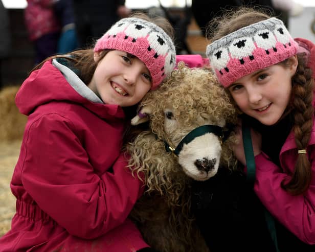 Twins Nancy and Molly Duffy, aged 10, with one of their Grey Face Dartmoor sheep called Toby