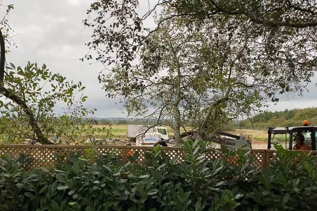 End of a lovely view? Trees being removed at the back of a resident's house at Long Crag View in Harrogate. (Picture contributed/Sarah Stoner)