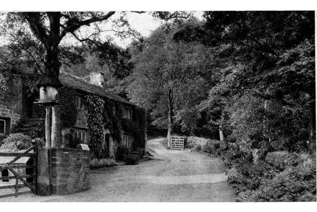 Do you recognise where in Nidderdale this image was taken?