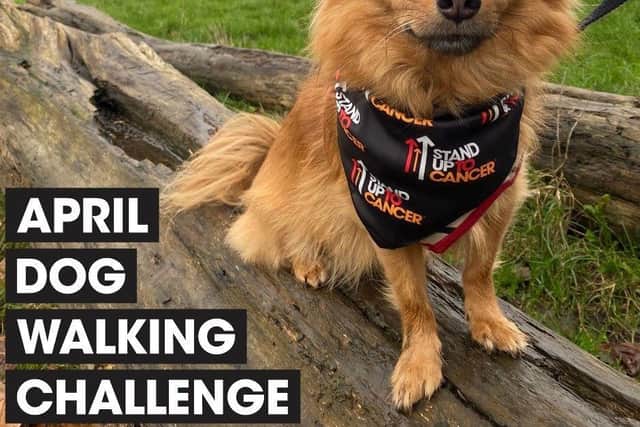 Join the pack: Dog owners are being urged to walk 60 miles with their four-legged friends over the course of April to raise money for Stand Up To Cancer’s life-saving research. Sign up now at su2c.org.uk/walkies