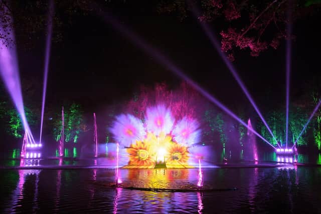 The spectacular light show has been added to the Stockeld Park Christmas experience this year.