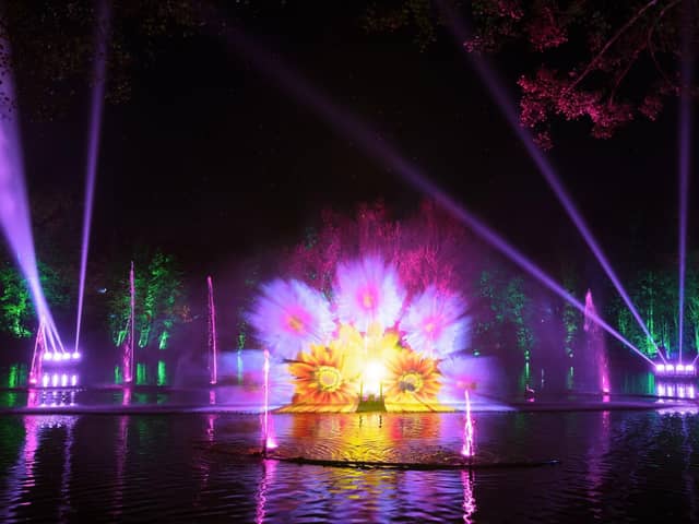 The spectacular light show has been added to the Stockeld Park Christmas experience this year.