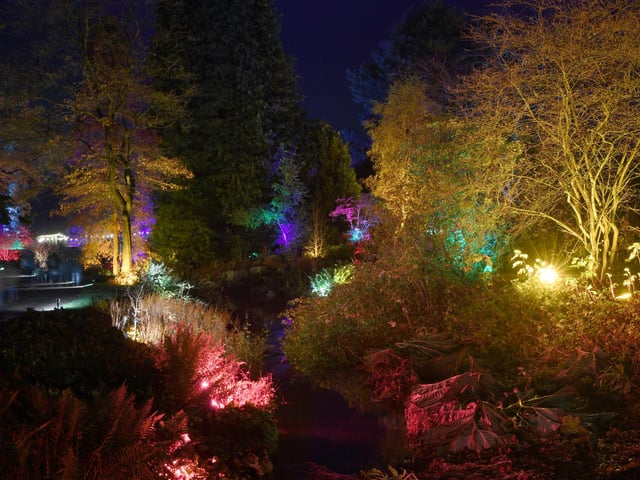 Winter illuminations have returned to RHS Harlow Carr.