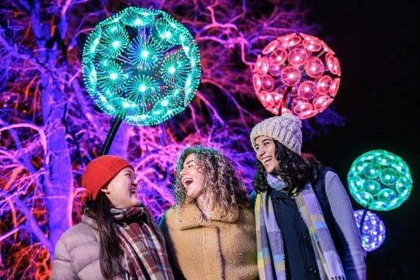 A decade after RHS Glow first lit up RHS Harlow Carr, the trail will returns for its 10th anniversary to the stunning Harrogate gardens. (Picture contributed)