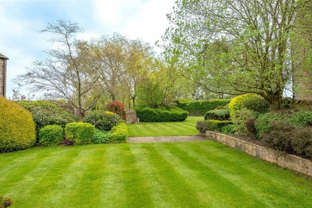 A stretch of landscaped garden with established trees, plants and shrubs.