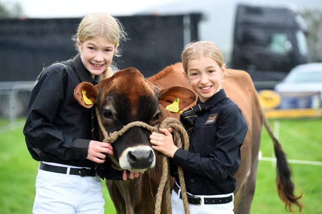 Emily Wood (aged eleven) and her sister Bethany (aged nine) with one of their Jersey cows