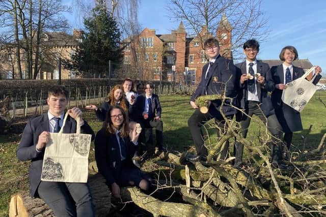 Students designed susutainble products from a tree damaged in a recent storm