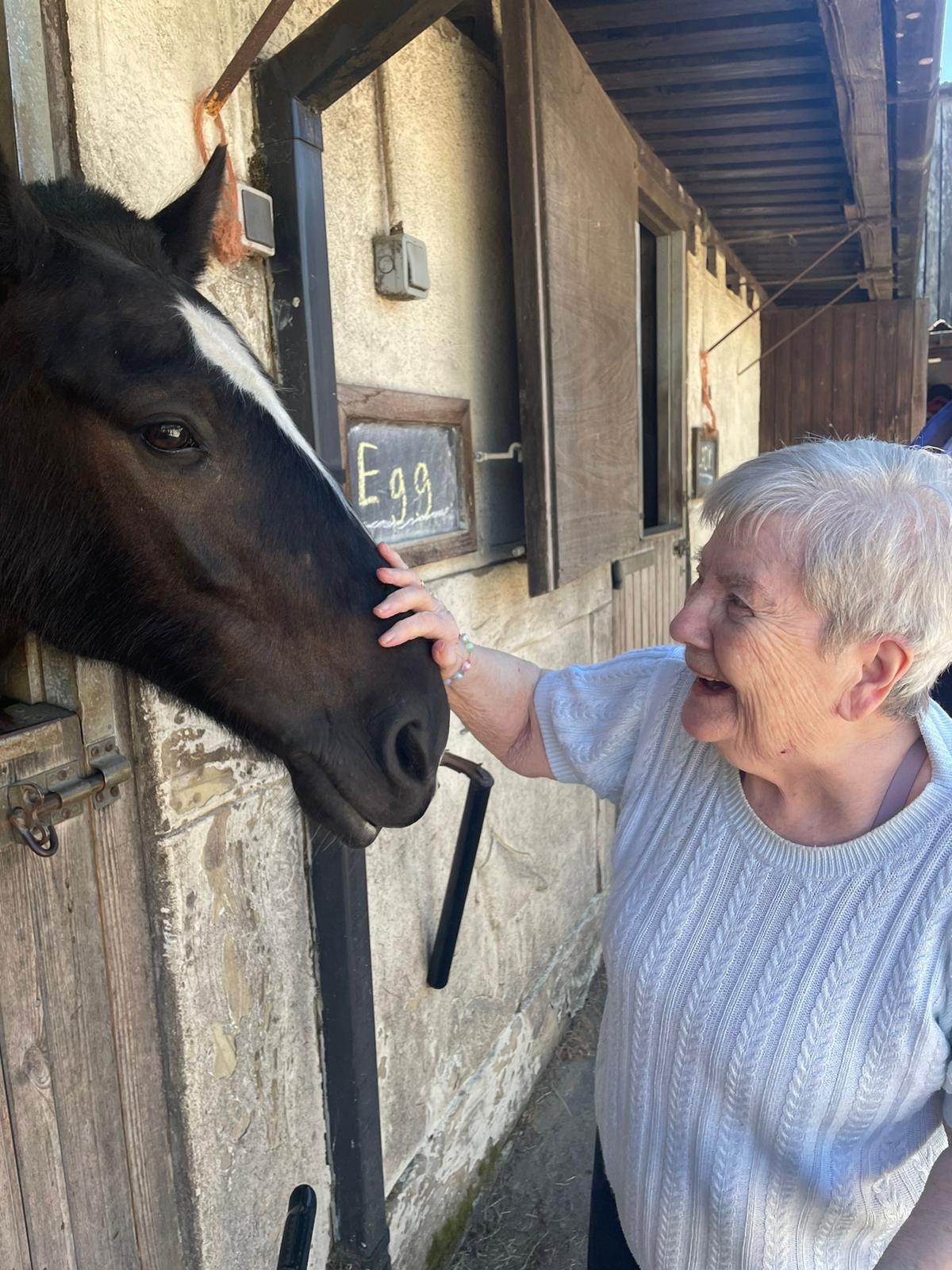 Taking Dementia care by the Reins!