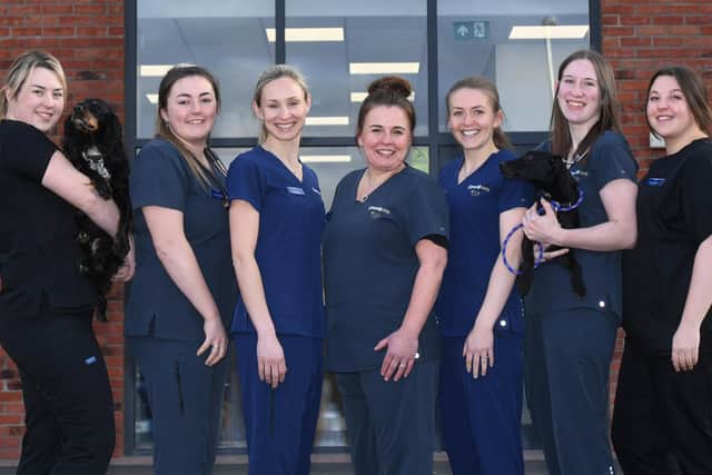 Claro Hill Vets opens in Harrogate - Pictured are the team, from left, Kathryn Sowray with Patsy the dog, Georgina Vicente, owner Laura Keyser, Debbie Troake, Heather Morrison, Molly Brown with Gus the dog and Stacey Andrews. (Picture Gerard Binks)