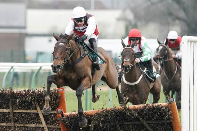 Jeff Garlick is backing Molly Ollys Wishes to shine at Wetherby this weekend. Picture: Getty Images