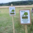 The first major planting project since a phenomenal £350,000 was raised in a community shares in 2020 is to start shortly at Long Lands Common near Nidd Gorge in Harrogate. (Picture Gerard Binks)