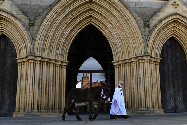 Palm Sunday procession from Ripon Market Square to the Cathedral. 11-year-old Xander Galloway-Gee leads Lily the donkey.