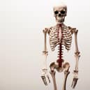 Generations of medical students and aspiring surgeons have poured over the pages of Gray's Anatomy since it was written in 1858 by Henry Gray. Photo: StockAdobe