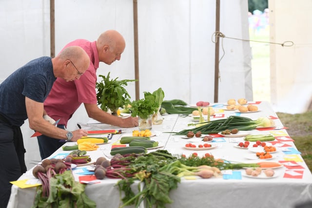 The judges busy judging the homegrown vegetables on display at the show