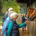 National Racehorse Week 2024