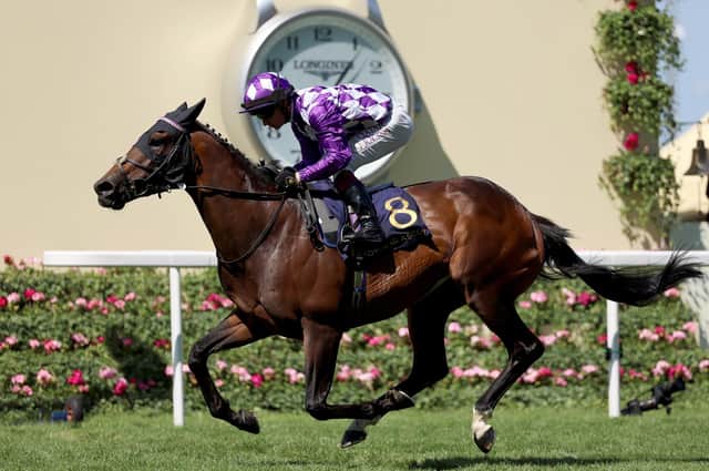 Yorkshire-trained Shaquille wins the Commonwealth Cup on day four of Royal Ascot 2023. Picture: Tom Dulat/Getty Images for Ascot Racecourse
