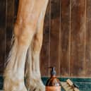 Marius Fabre's new horse range.