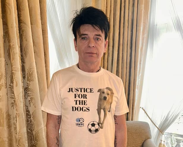 Gary Numan is speaking out for the World Cup dogs of Morocco - Animal News Agency
