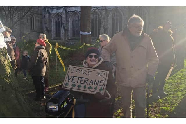Pictured: Demonstrators showed their support in the protection of the 150-200 year old beech tree with 'registered veteran status'.