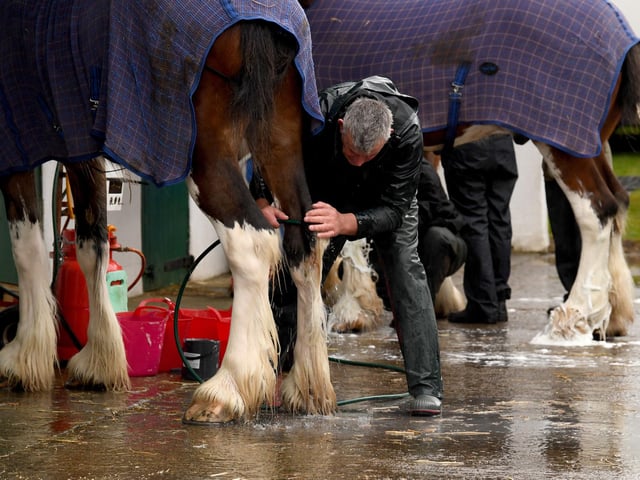 The four-day event takes place at the showground in Harrogate