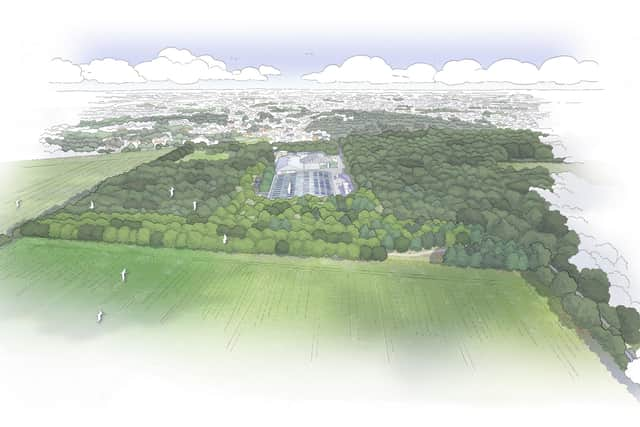 An artist’s impression of the new green space and expansion proposed by Harrogate Spring Water. (Picture contributed)