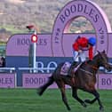 A Plus Tard won the Cheltenham Gold Cup earlier this year. Picture: Getty Images