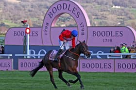 A Plus Tard won the Cheltenham Gold Cup earlier this year. Picture: Getty Images