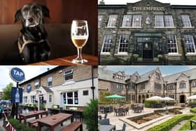 We take a look at 15 of the best dog-friendly pubs to visit in the Harrogate district according to Google Reviews