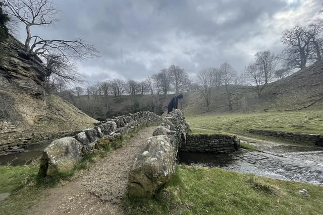 The terrain is fairly easy, mostly on green or gravel, easily navigable flat paths. This walk from the centre of the city is ideal if your dog likes a good paddle or a swim. The enclosed paths also provide safe off-lead opportunities for well-behaved pooches.