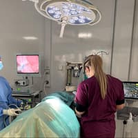 Home is where the heart is for Yorkshire surgeon making waves in the veterinary world
