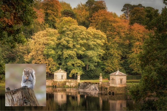 Studley Royal Deer Park, is located just outside Ripon. The deer park attracts thousands all year round with a chance to get close to the wildlife. Open from 10am-4pm everyday.