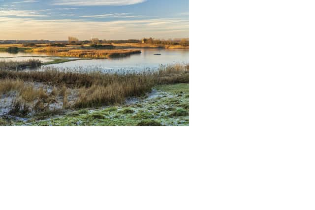 North Caves Wetlands Reserve, near Hull