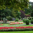 The much-loved Valley Gardens was praised after Harrogate featuring strongly in the UK’s top loveliest towns with floral displays in The Times newspaper. (Picture Gerard Binks)