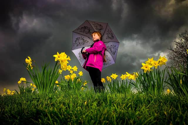 Shelters from the rain. (Pic credit: James Hardisty)