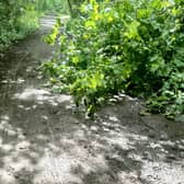 The council is planning to resurface the Harland Way walking and cycling route between Spofforth and Wetherby