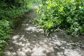The council is planning to resurface the Harland Way walking and cycling route between Spofforth and Wetherby